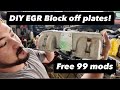 Custom DIY EGR delete plates for the UZ!