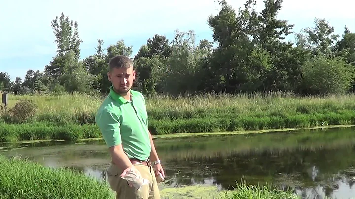 Vista  Bioverse Pond Cleaner