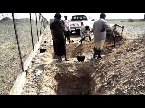 تحت المجهر العالقون في اليمن 