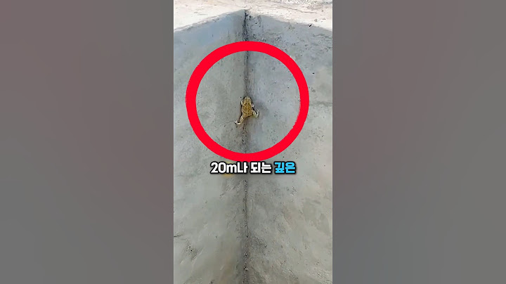 자유를 눈앞에 두고 임무 실패한 개구리😢🐸