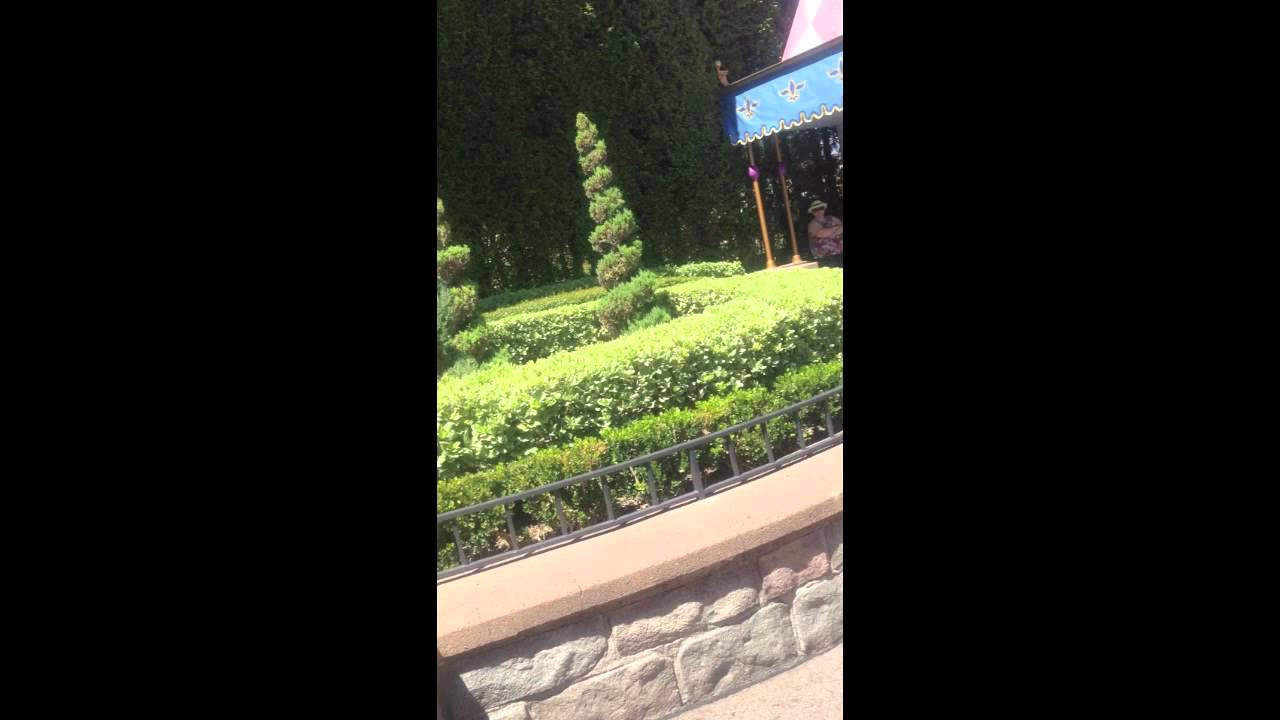 Acorn Peter/Parade Peter