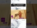 2025 год крушения западной системы 2025 год крушения западной системы