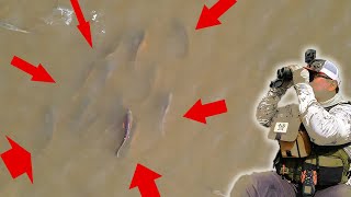 *GAME CHANGER* I Found the Fish Using Advanced Optics