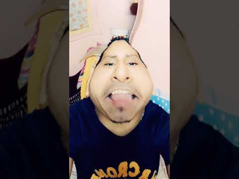 كلكو كلاب صاحب الضحكة