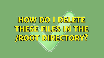 How do I delete these files in the /root directory?