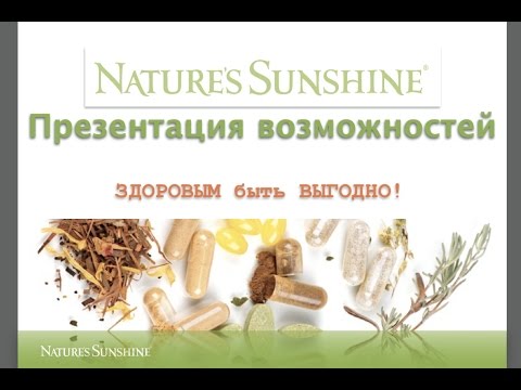 Презентация возможностей НСП (NSP) - Алексей Зайцев - YouTube