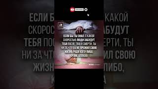 #дуа #зикры #намаз