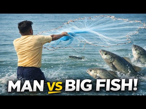 (AMEZING) net fish hunting big fish catch 🐠👈😱 - YouTube