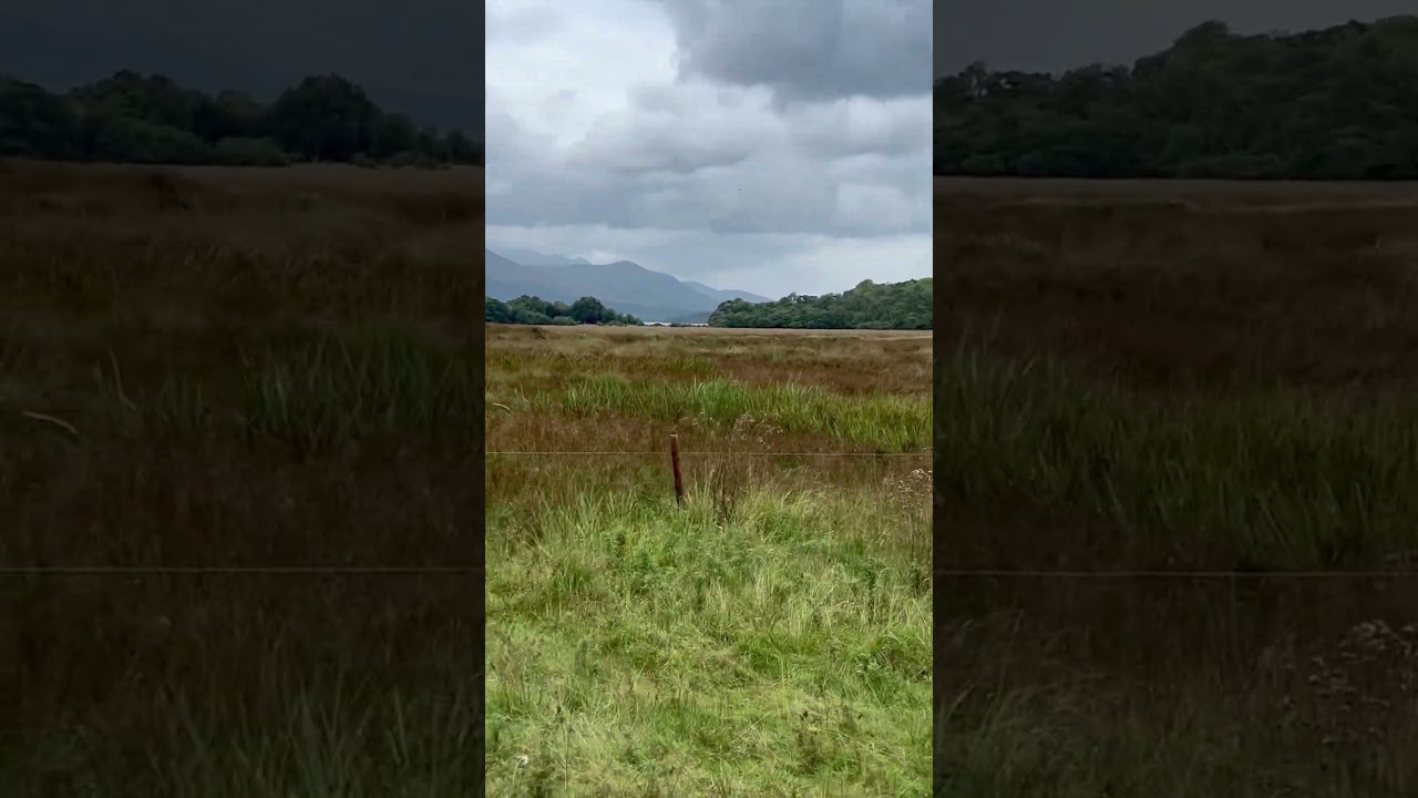 2024-09-01 Killarney Jaunting car ride. Killarney, Ireland.