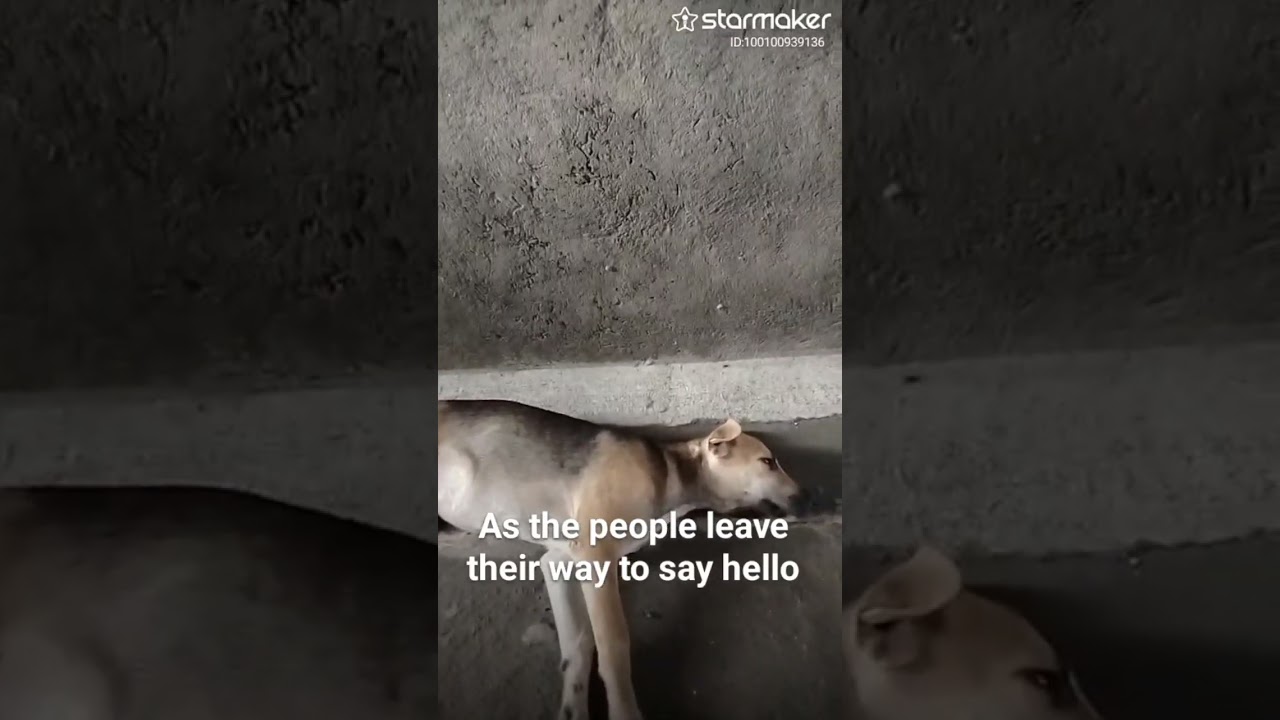 Like Here Without You? Check out more amazing covers on StarMaker! @K13musicvideovlog 