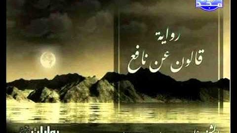 مصحف برواية قالون للشيخ علي بن عبد الرحمن الحديفي الحزب 24