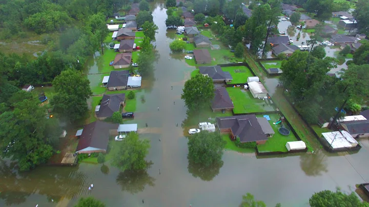 Another video of the neighborhood in Vidor Texas. ...