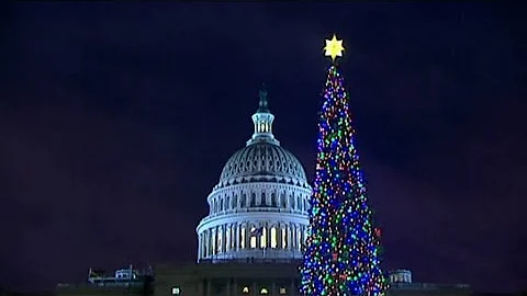 Capitol Christmas tree lights up D.C.