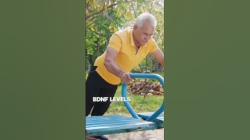 The Exercise/BDNF Connection for Brain Repair