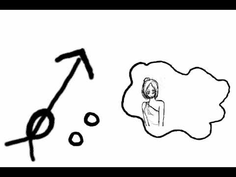 漢光教育基金會FA0552月桂樹的故事a laurel story