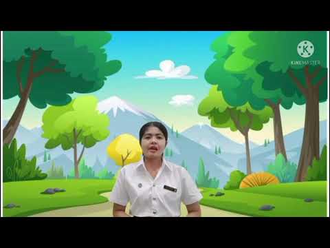 หน่วย ต้นไม้แสนรัก เรื่อง ประโยชน์และโทษของต้นไม้