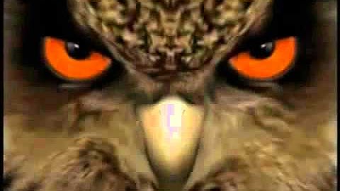 AVTECH EagleEyes AVC794K Push Notification demostration