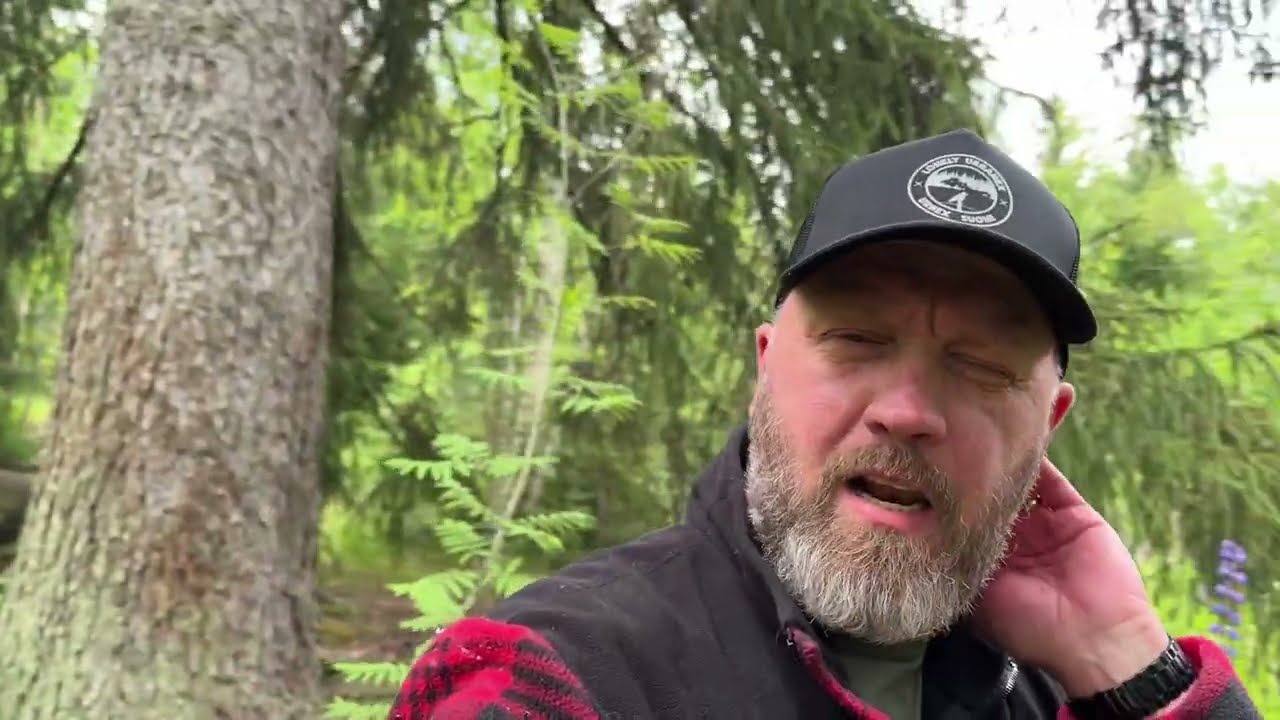 Autiotalo ansoja viritetty 😬