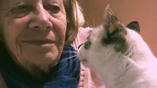 Documentando A Vida