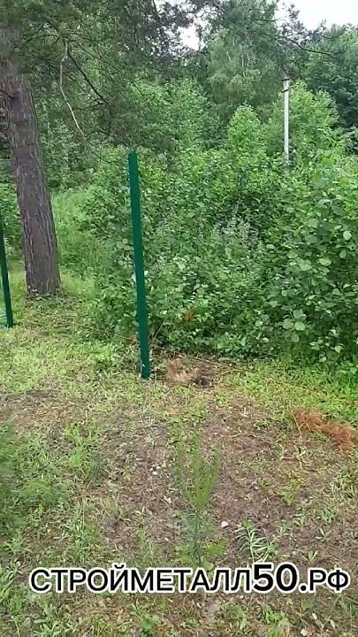 Забор из сварной сетки в ПВХ оплётке. #стройка #забор - YouTube