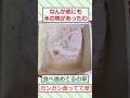 冷凍庫のいつ買ったかわからないアイス食ってみるw #2ch面白いスレ #2ch #5ch #shorts