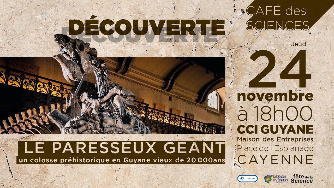 Café des Sciences - le paresseux géant de #guyane - YouTube