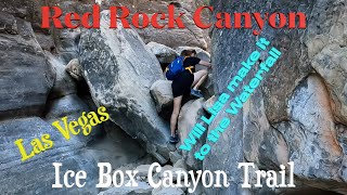 Hike Ice Box Canyon in Red Rock Canyon, Las Vages.