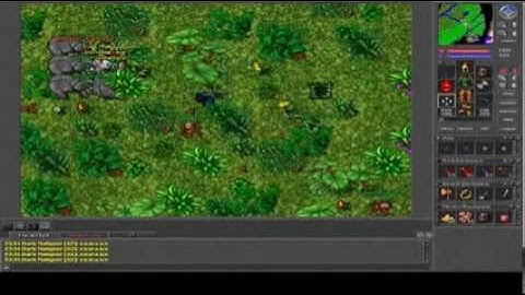 Tibia Bot Kill in Non PvP #24