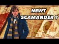 Newt Scamander in Harry Potter ? What Was He Doing in The Marauder's Map ?