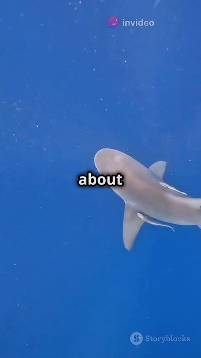 meet-the-longest-living-creature-on-earth-shorts-creature-facts