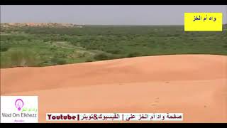 الفنان القدير بوكي ولد أعليات رحمه الله