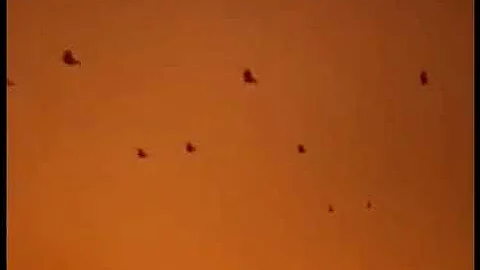 Operation Plumbbob Nevada Test Site 1957