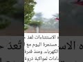 وزارة الكهرباء تعلن حالة استنفار شاملة 