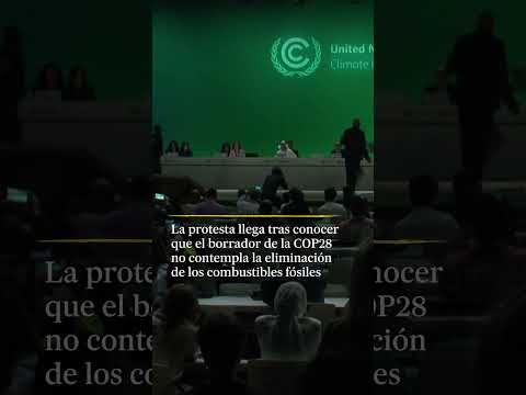 Una activista climática irrumpe en el plenario de la COP28 #shorts