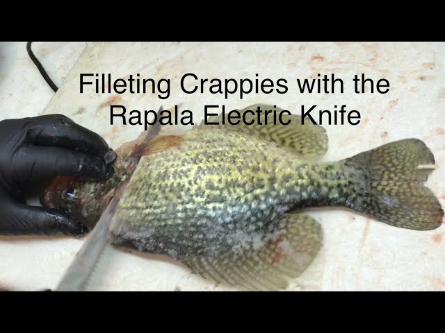 Clean fish fast and efficiently with Rapala® electric fillet