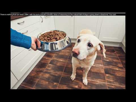 healthy-home-made-dog-food---home-made-dog-food-recipe-turkey-and-eggs-|-husky-squad