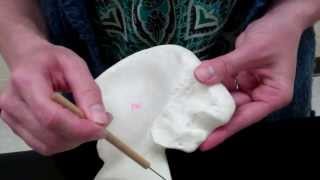 Appendicular skeleton: Part 4 - Hip and Femur