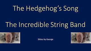 Vídeo de The Hedgehogs Song