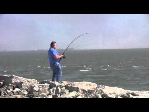 Texas City Dike