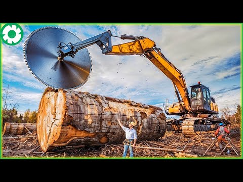 Extreme Dangerous Fastest Big Chainsaw Cutting Tree Machines | Biggest Heavy Machinery Machines #22