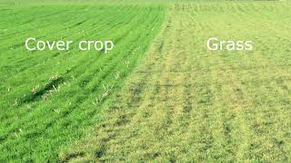 When to Spread Manure 2019