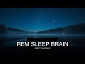 What Happens in Your Brain During REM Sleep | Science for Sleep