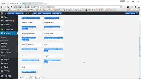 How to Add Basic & Text Widgets to Your Wordpress Blog