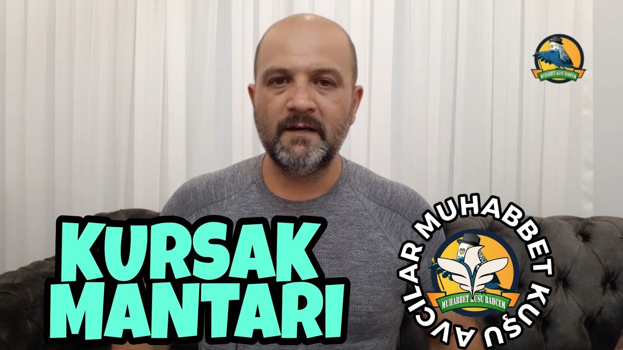 Muhabbet kuşu - Kursak mantarı