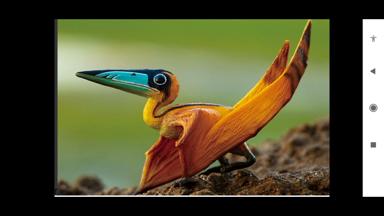 Nemicolopterus - najmniejszy z pterozaurów