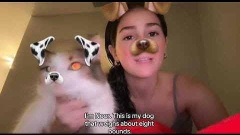 AP STATS MIDTERM REVIEW VIDEO - Histograms and Mosaic Plots - Maya Wall & Ila Ford