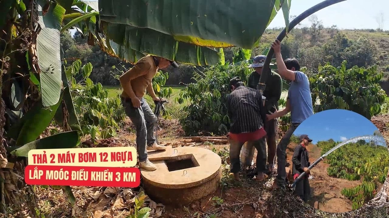 Thả 2 máy bơm 12 ngựa xuống giếng, lắp thiết bị moóc điều khiển bật nước từ xa 3km để tưới cà phê.