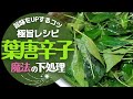 【葉唐辛子】の茹で方と下処理の方法！驚くほど美味しくなる！