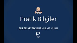 Pratik Bilgiler: SAP2000 ve Euler Kritik Burkulma Yükü (Pcr)