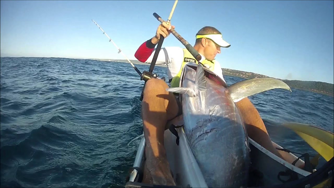 Tuna Fishing Durban North Coast HD YouTube